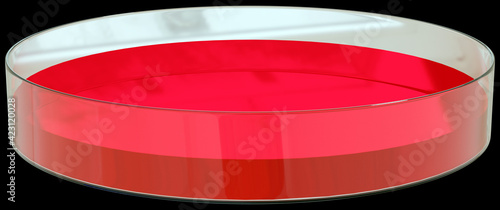 Tissue culture dish with media on black background