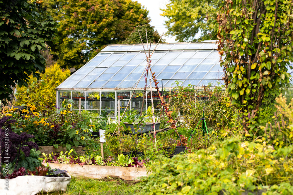 vue d'un jardin en santé avec une serre en verre à l'arrière en été