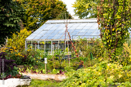 vue d'un jardin en santé avec une serre en verre à l'arrière en été