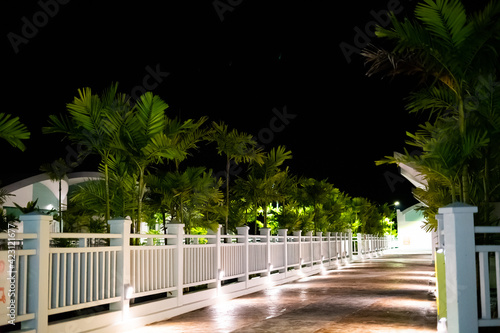 Night view of the street outdoor with bokeh background. The image contains soft focus, noise and grain.