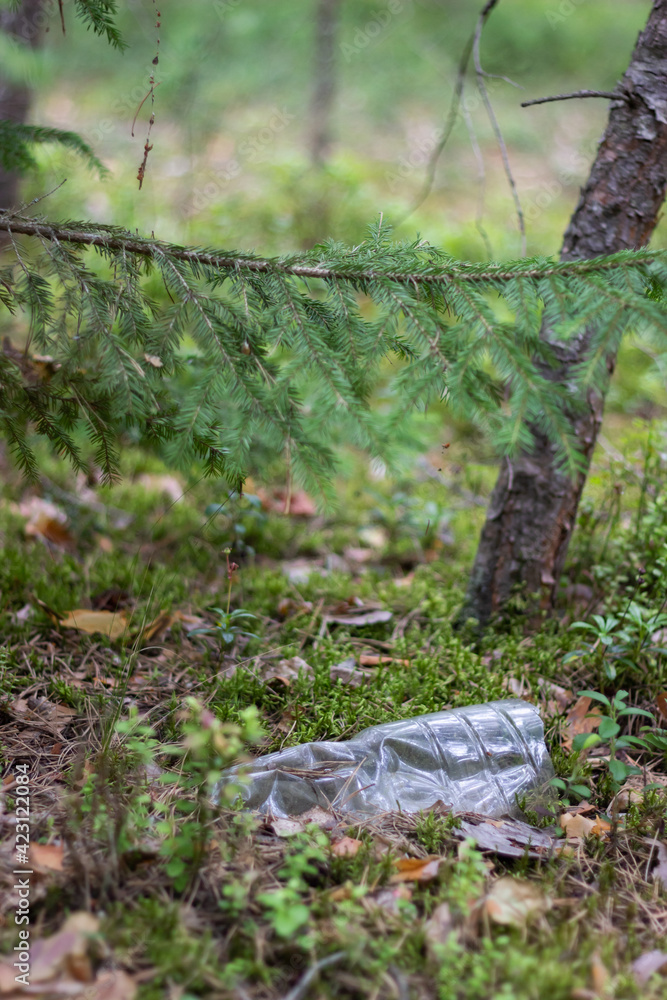 A plastic bottle lies in the middle of the forest. Contamination of the environment with human waste. A plastic bottle lies in the middle of the forest. Contamination of the environment with human waste.