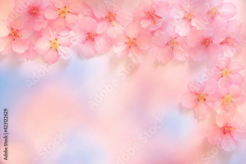 桜の花 © tamayura39