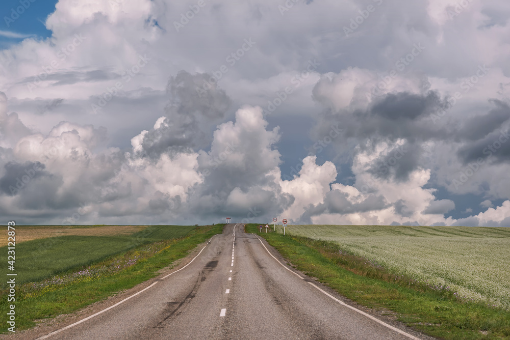 road field buckwheat clouds sky overcast road field buckwheat clouds sky overcast