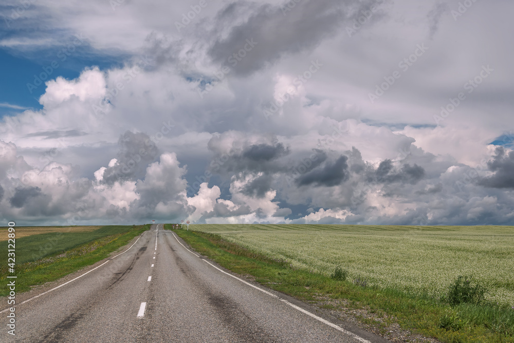 road field buckwheat clouds sky overcast road field buckwheat clouds sky overcast