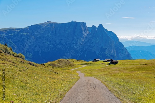 Scenery of a country road winding through green fields with rugged Schlern peaks in background & farm houses on grassy meadows under blue sky in Alpe di Siusi Highlands, Dolomites, South Tyrol, Italy