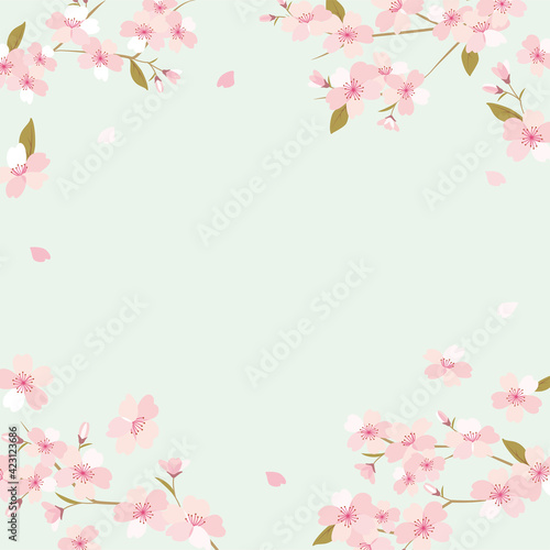 Vector background illustration with cherry blossom flowers