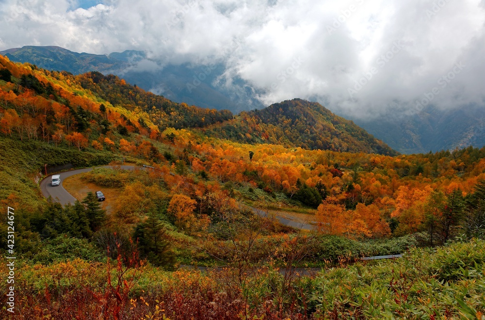 Autumn scenery of a mountain highway making a sharp turn by the mountainside through colorful forests in Shiga Kogen Highland, a beautiful national park & tourist destination in Nagano Japan