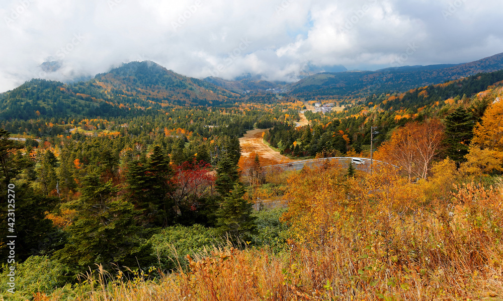 Scenery of a car driving on a mountain highway, winding through colorful autumn forests by the mountainside in Shiga Kogen Highland, a beautiful national park & tourist destination in Nagano Japan