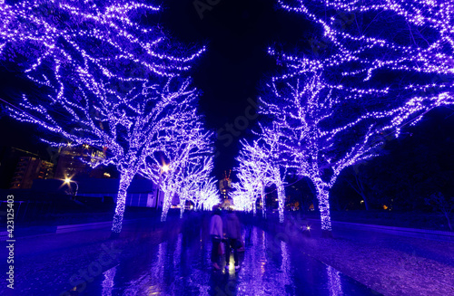 Photography Tourists enjoy the illumination display for Christmas season & New Year in Ao No