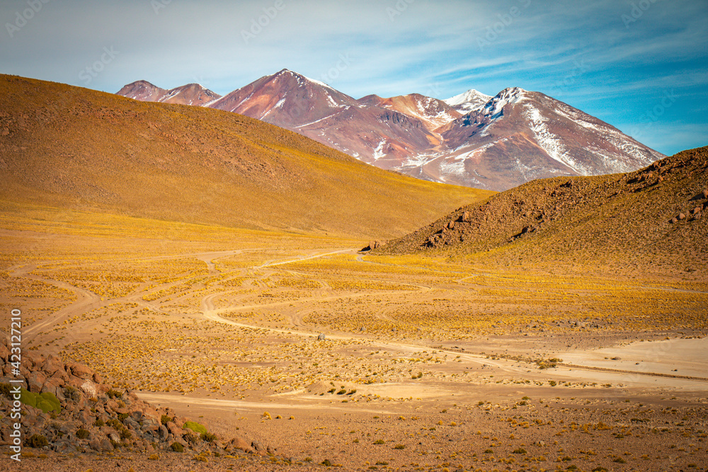 landscape with volcanoes in bolivia, altiplano