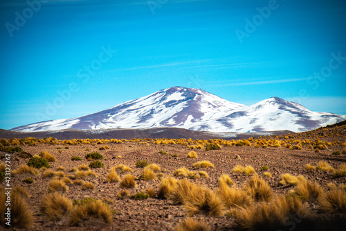 landscape in bolivia with volcano  altiplano