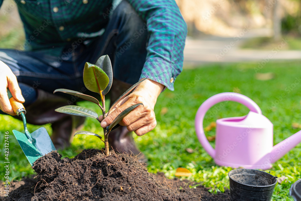 Male doing leisure activities by planting trees, planting trees for fresh air. And replace the