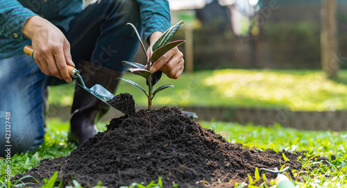 Bild auf Leinwand Male doing leisure activities by planting trees, planting trees for fresh air