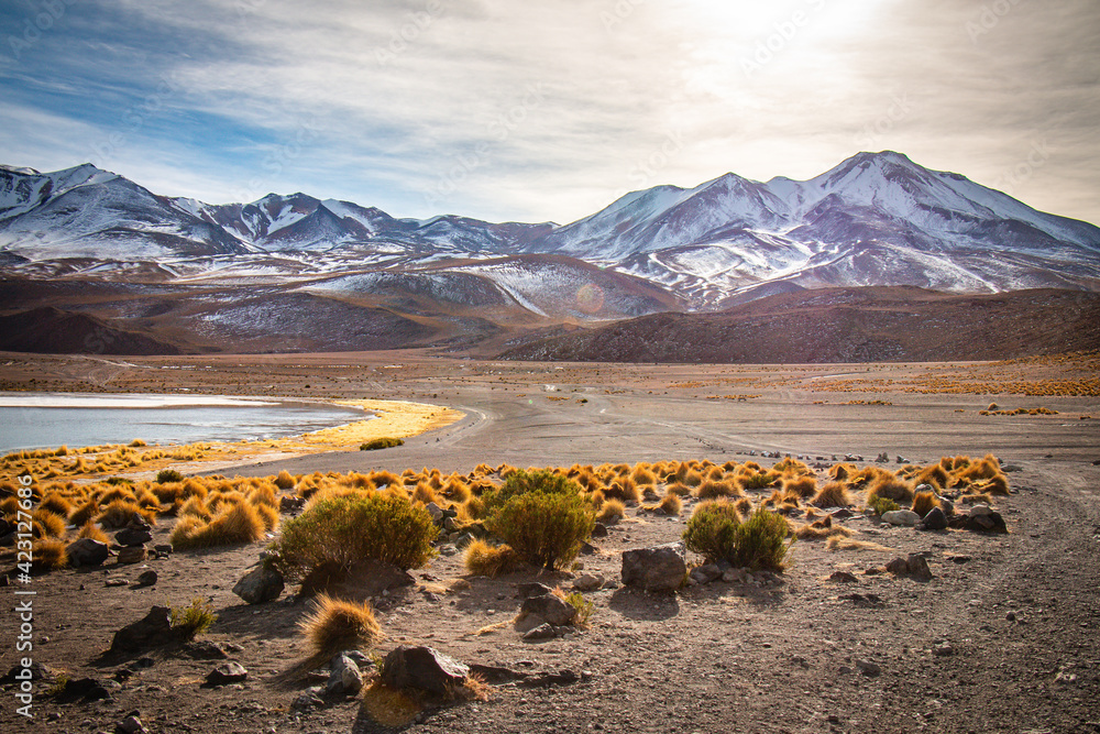 volcanic landscape in bolivia, altiplano, lagoon
