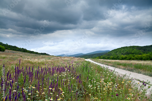 Blue and white flowers along a mountain road, dramatic dark sky. The Crimea