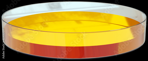 Tissue culture plate with yellow media on black background