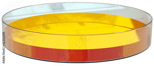 Tissue culture dish with yellow media