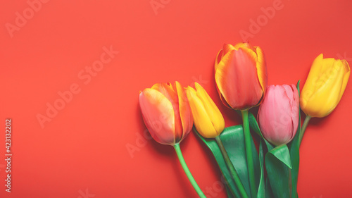 Floral background with bouquet made of yellow and pink tulips on orange background. Flat lay, top view. Woman day background.