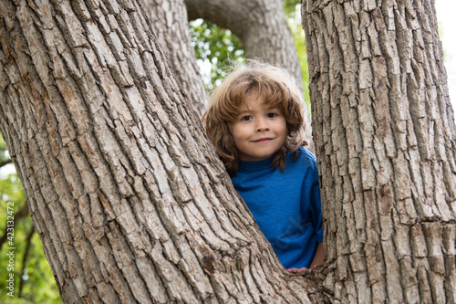 Portrait of a funny kid climbing in a tree in a park. © Volodymyr