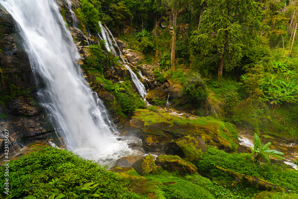 Waterfall in forest 