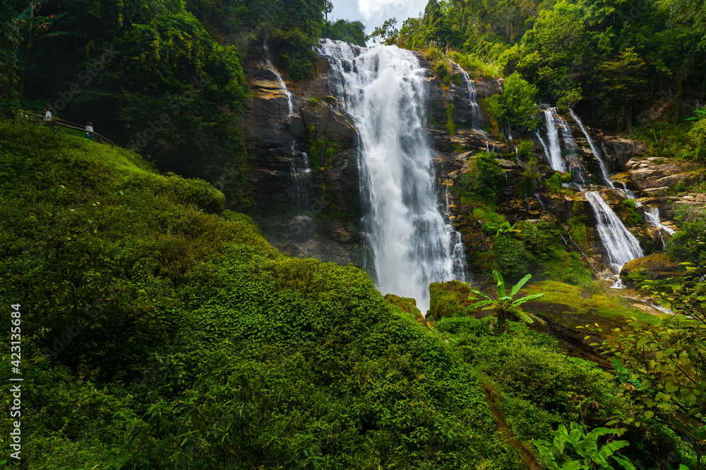 Obraz premium Waterfall in forest 