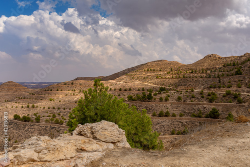 view from the top to the tops of the deser