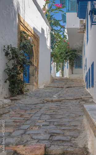 narrow streets of the blue and white city of Sidi bou Said