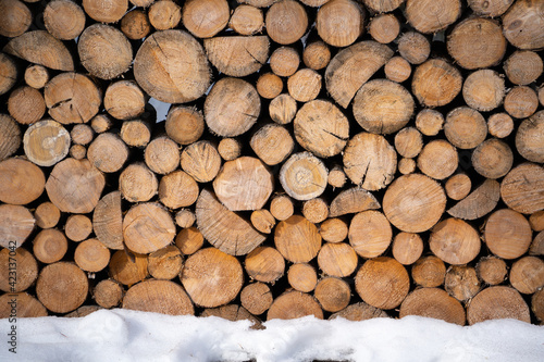 Neatly stacked wooden logs. Preparation of firewood for the winter.