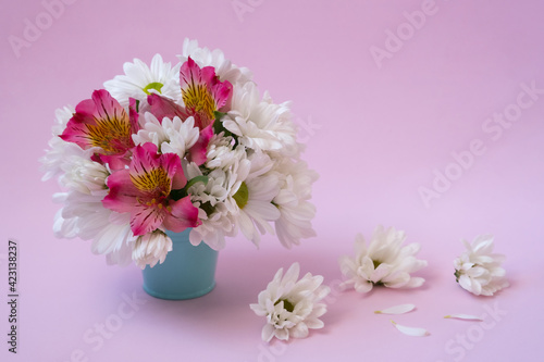 A bouquet of white chrysanthemums with pink alstroemeria in a blue bucket on a pink background