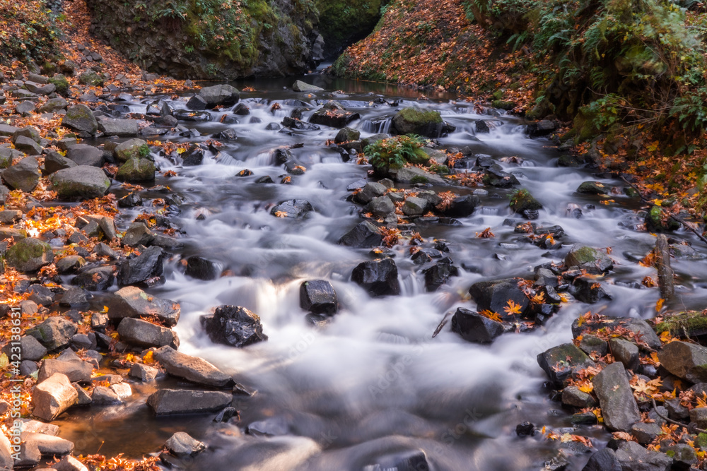 A waterfall in the autumn A waterfall in the autumn