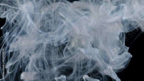 Wallpaper Mural Slow motion of abstract white smoke black background. Ice smoke cloud. Floating fog.	 Torontodigital.ca