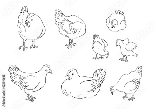 Vector sketch coloring page of chickens in different poses and views. 