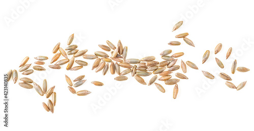 Canvas Print Close up of rye grains isolated on a white background, top view