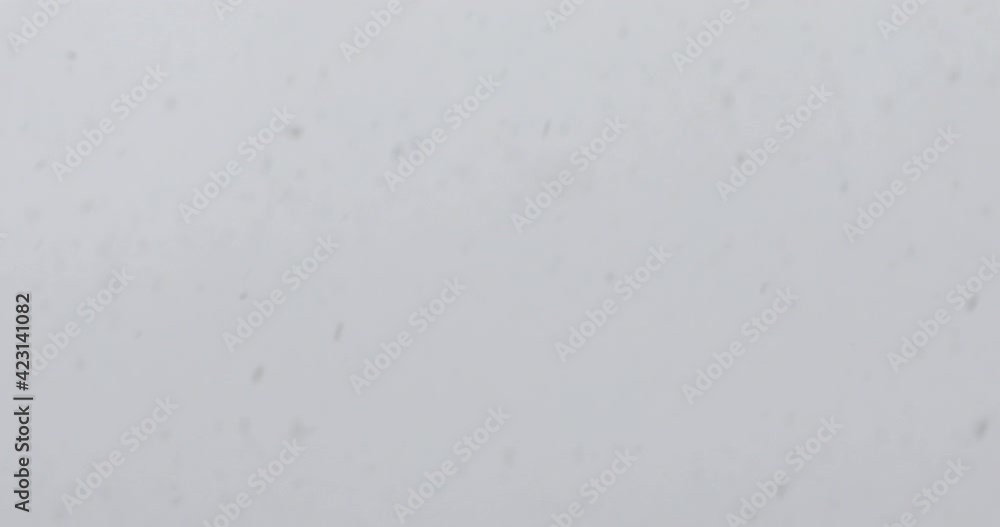 Snow particles falling down from the sky
Snow particles falling down from the sky