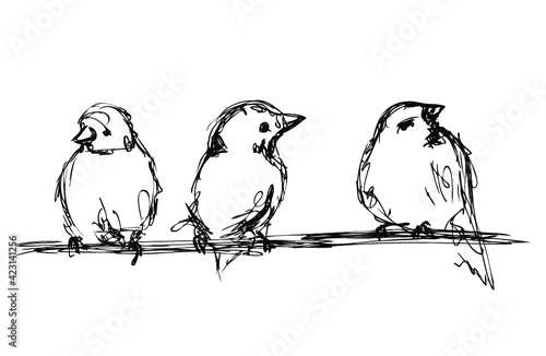 Vector ink sketch of three little birds on a branch