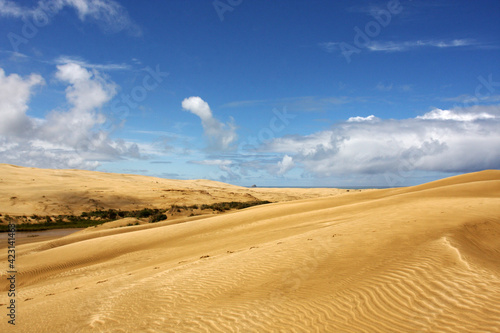 Sandy dunes by the ocean  no people  blue sky  paradise valley