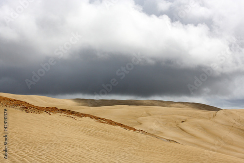 Dark cloud in the sandy dunes, natural landscape background © Oksana