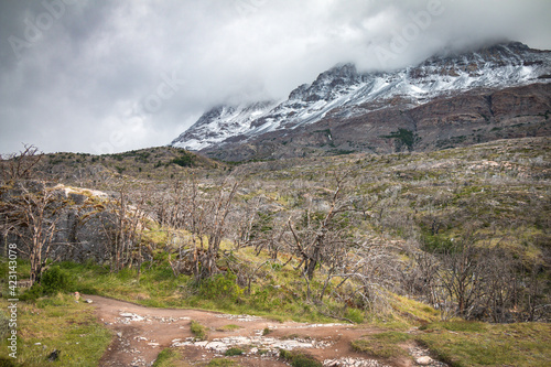 Torres del Paine National Park, Patagonia, Chile, grey glacier