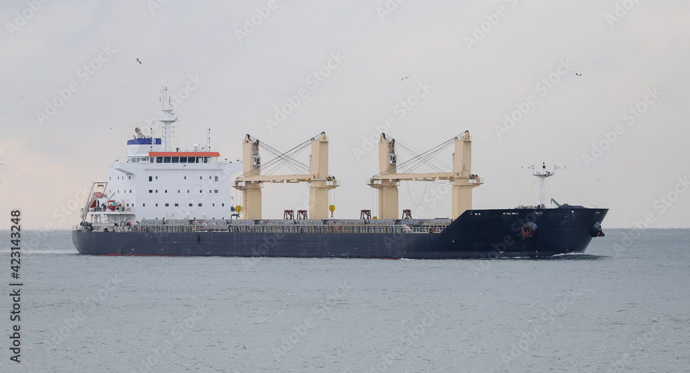 Cargo Ship in Sea