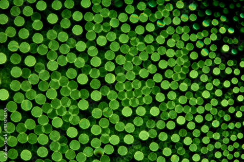 abstract green background