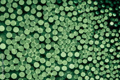 abstract green background