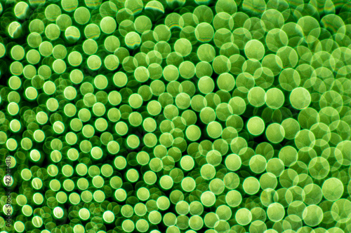 abstract green background