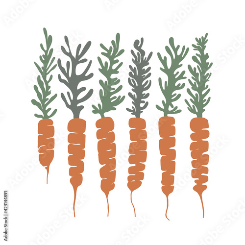 Carrot set. Vegetables is healthy food. Vitamin A. Abstract illustration. Eco-friendly. Kitchen, garden, shop. Scandinavian style