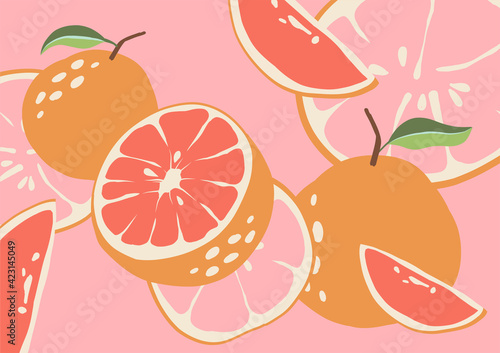 Abstract grapefruit. Pink background. Composition citrus fresh. Healthy food for vegan in modern style, colorful fruits vector set. Horizontal illustration. Border line.