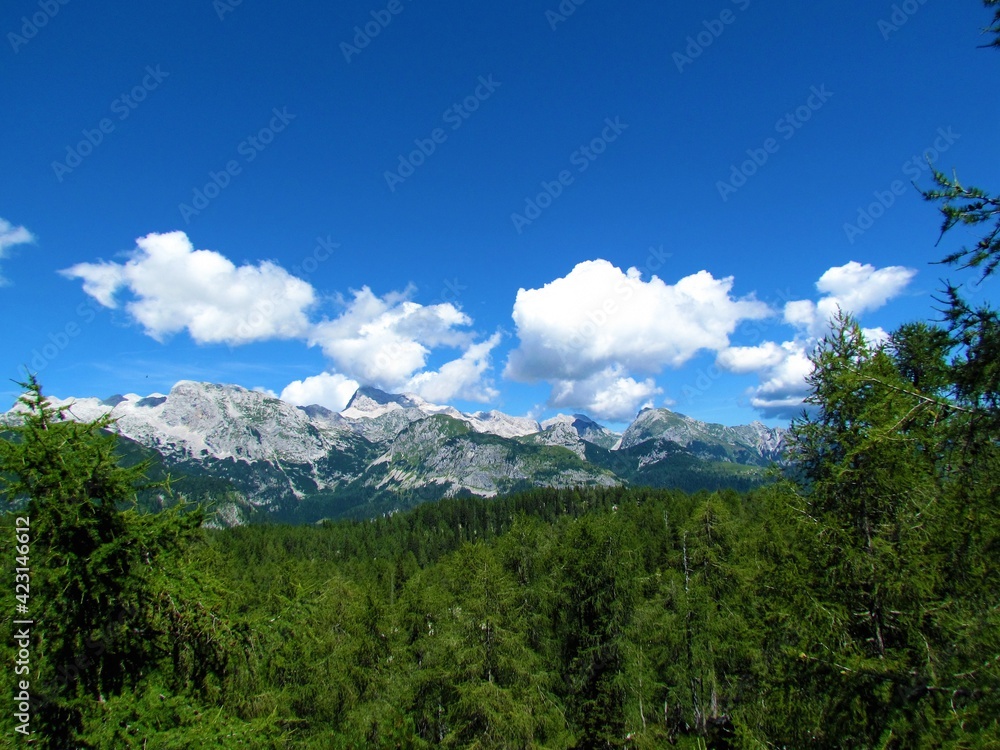 Scenic view of mountains Debeli vrh and Ogradi in Julian alps and Triglav national park, Slovenia with mountain larch forest in front Scenic view of mountains Debeli vrh and Ogradi in Julian alps and Triglav national park, Slovenia with mountain larch forest in front