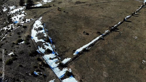 Droneshot of some wild horses at Bukovik mountain just above Sarajevo in Bosnia and Herzegovina. Shot was taken in Februari 2021. photo