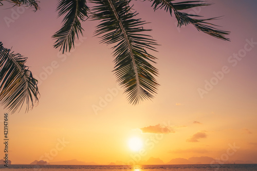 Palm tree at tropical beach on sunset sky abstract background. Summer vacation and nature travel adventure concept. © tonktiti