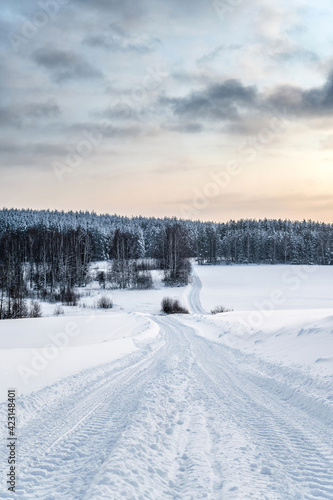 Winter landscape, road in forest after snowfall, north nature