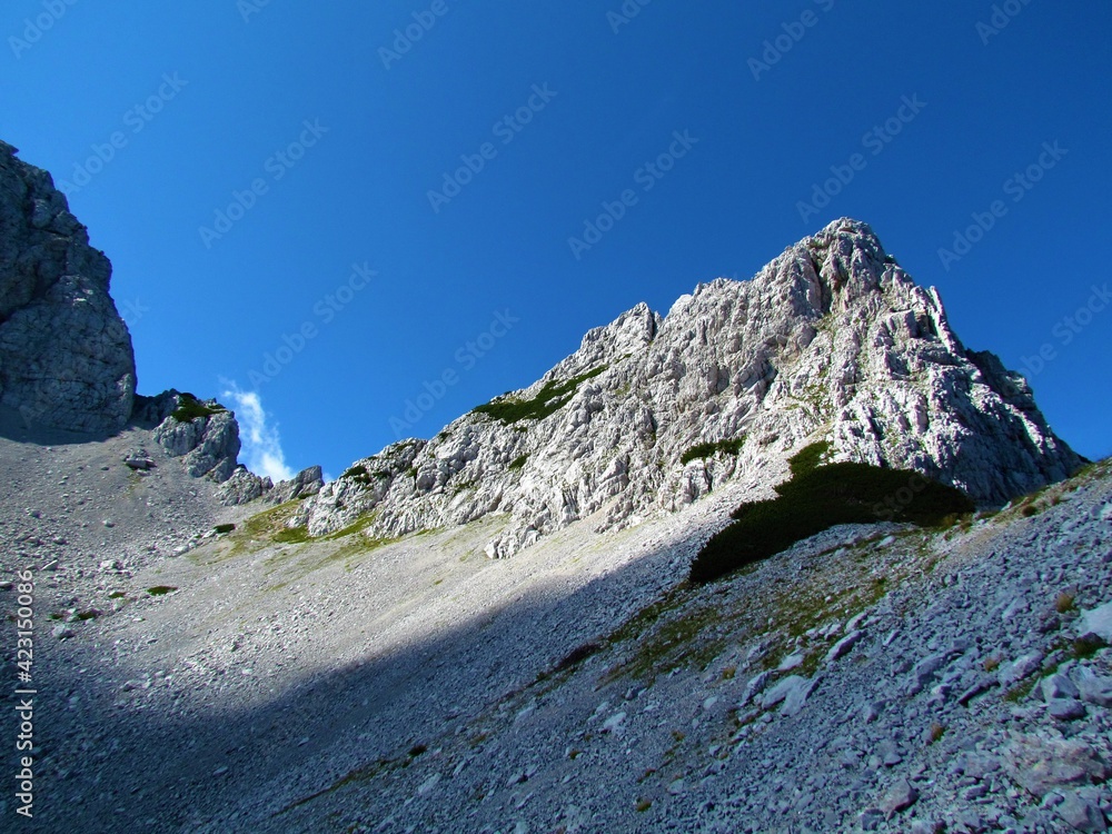 View of Zelenjak mountain in Karavanke montains, Slovenia and a scree bellow