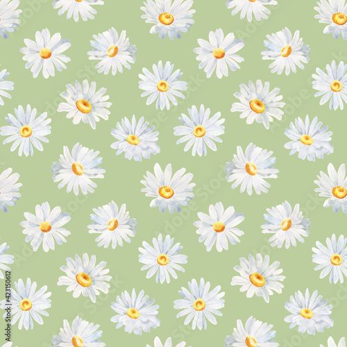 Watercolor floral seamless pattern – Daisy